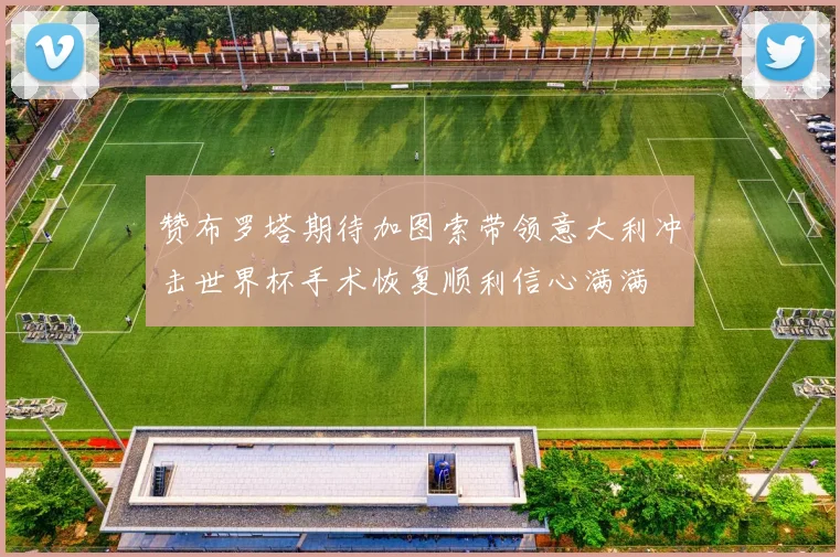 赞布罗塔期待加图索带领意大利冲击世界杯手术恢复顺利信心满满