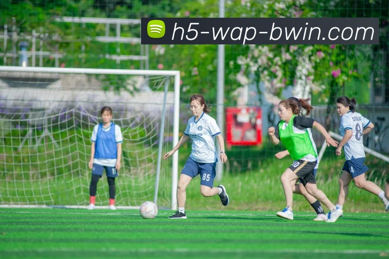 BWIN必赢APP 封面图